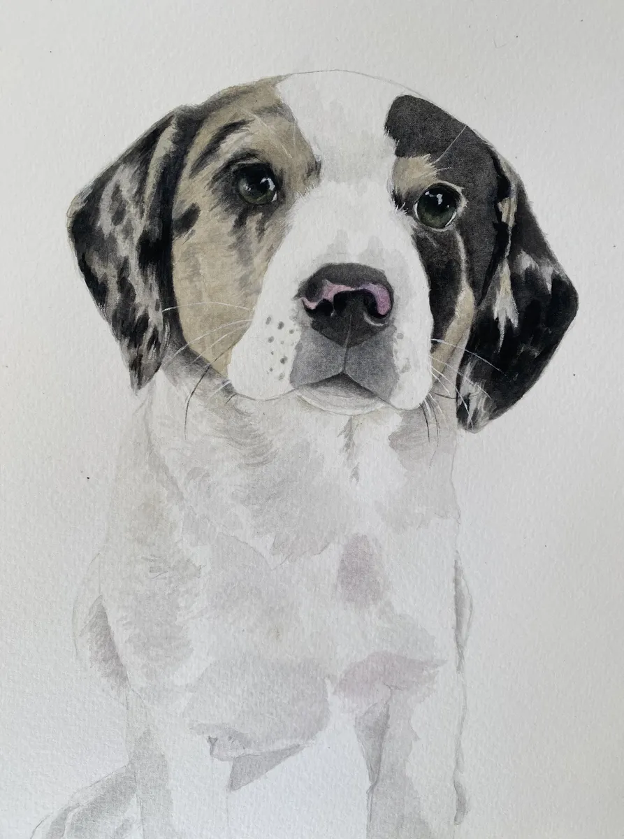 Retrato en acuarela de un cachorro blanco y negro